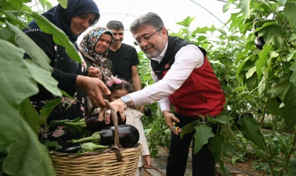 349 Milyon Lira Çiftçilerin Hesaplarına Yatırıldı