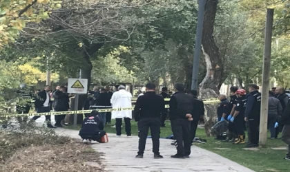 Malatya’da 42 Yaşındaki Kadın Gölete Atlayarak İntihar Etti