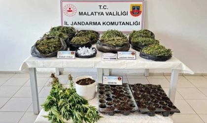 Malatya’da Uyuşturucu Operasyonu, 16 Tutuklama