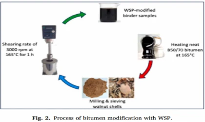 Ceviz Kabuğundan Bilim Doğdu!