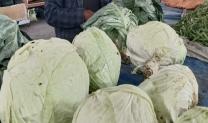 Gastromasa’da Göyyar Lahanası Rüzgarı Esti