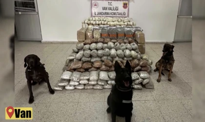 Jandarma Zehir Tacirlerine Göz Açtırmıyor