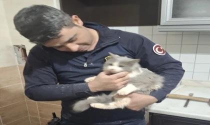 Malatya’da Havalandırma Boşluğuna Düşen Kedi Kurtarıldı
