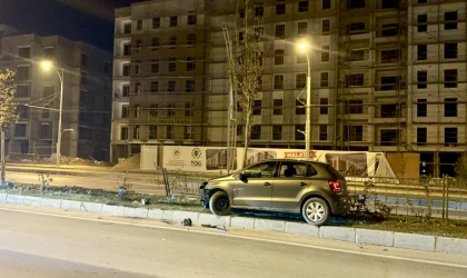 Malatya’da Köpeğe Çarpan Otomobil Kaza Yaptı