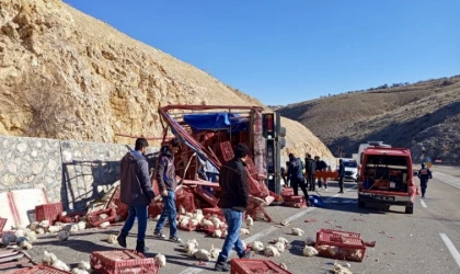 Malatya’da Tavuk Yüklü Kamyon Devrildi
