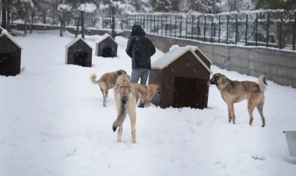 Battalgazi’de Malatya’nın İkinci Hayvan Barınağı Hizmete Açıldı