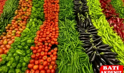 Göktaş: Emekliye Açlık Bile Lüks Oldu