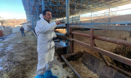 Malatya’da Hayvancılık İşletmelerinde Kapasite Belirleniyor