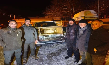 Malatya’da Kıştan Kaçan Dağ Keçisi Köye Sğındı