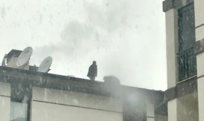 Malatya’da TOKİ’de Çatıya Çıkan İşçi İndirildi: Darp İddiası!