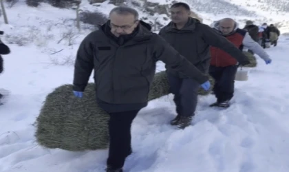 Vali Yavuz, Yaban Hayvanları İçin Sahadayız