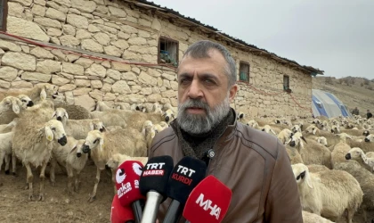 Malatya’da Kuzu Doğum Sezonu Başladı