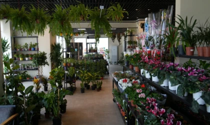 Battalgazi’de Yeşil Alanlarda Kapsamlı Çalışmalar Sürüyor