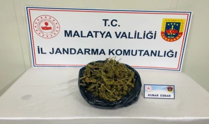 Malatya’da Narkotik Operasyon 1 Gözaltı