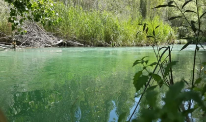 Tohma Çayı’nın Ekolojik Sağlığı Bilimsel Olarak Ortaya Kondu