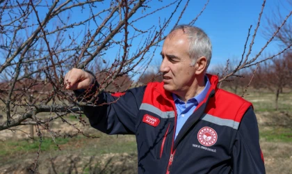 Akar: “Kayısıda Bu Yıl Verim Almayı Umuyoruz