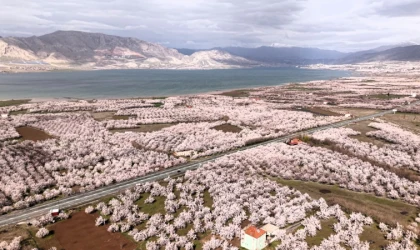 Kayısı Cenneti Malatya Beyaza Büründü