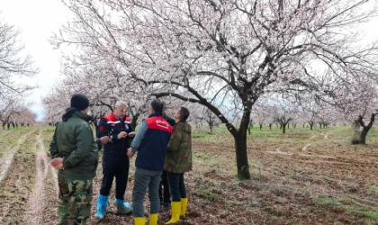 Malatya Tarım Müdürlüğü Dolu Etkisini İnceledi