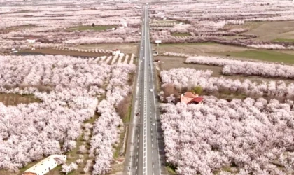 Malatya’da Çiçek Açtı, Umutlar Yeniden Yeşerdi