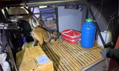 Malatya’da Yolcu Valizinde Uyuşturucu Çıktı