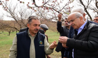 Başkan Er: Hasar Raporlanıp İlgili Mercilere Sunulacak