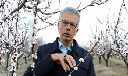 Gezer’dan Kayısı İçin Kritik Uyarı