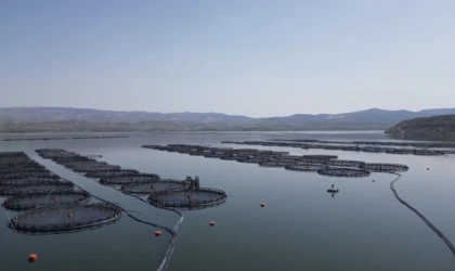 Malatya’da Alabalık Üretimi 7 Bin 500 Tona Ulaştı