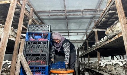 Malatya’da Alternatif Tarım Atağı