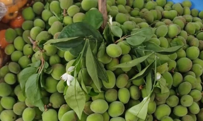 Malatya’da Çağla Fiyatları 200 TL’yi Gördü