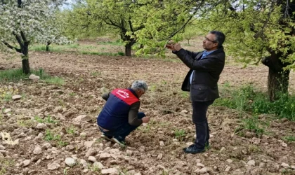 Malatya’da Dolu Hasarı: 20 Bin Dekar Arazisi Etkilendi