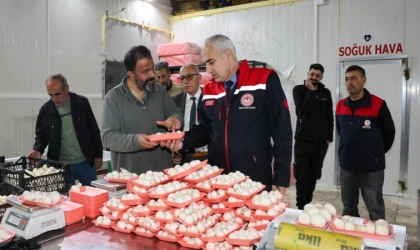 Malatya’da Mantar Üretimi Artıyor