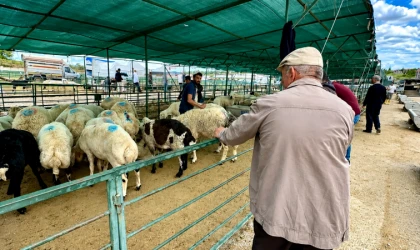 Malatya’da Canlı Hayvan Pazarında Son Gün