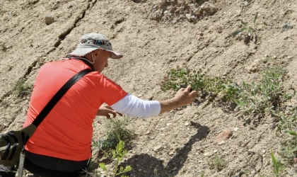 Malatya’da Doğanın Gizli Hazinesi Keşfediliyor!