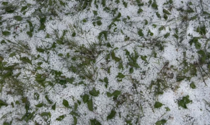 Malatya’da Dolu Yağışı Kayısı Bahçelerini Vurdu