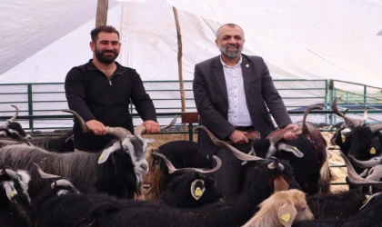 Malatya’da Kurban Pazarında Hareketlilik Başladı