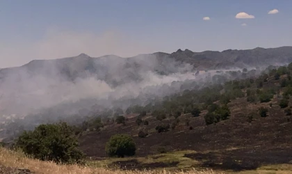 Malatya’da Peş Peşe Yangınlar Panik Yarattı