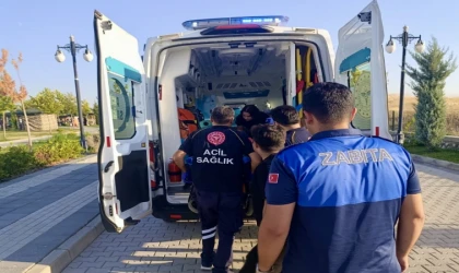 Malatya’da Parkta Epilepsi Nöbeti Geçirdi