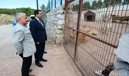 Taşkın, “Şu Anda 350 Hayvanı Misafir Ediyoruz”